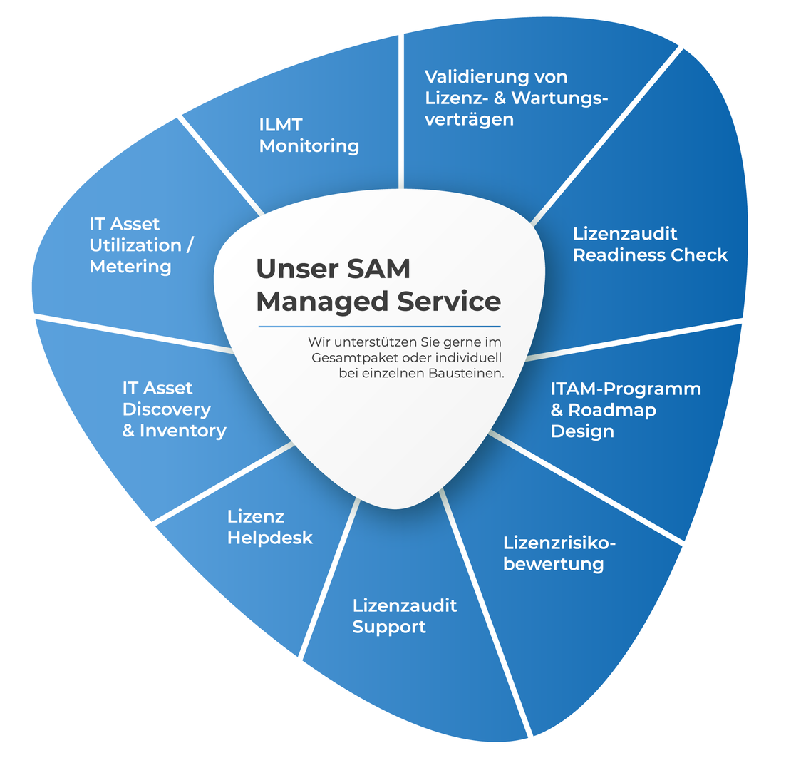 Graphic about our Software Asset Management (SAM) 
